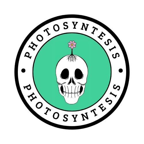 Photosyntesis